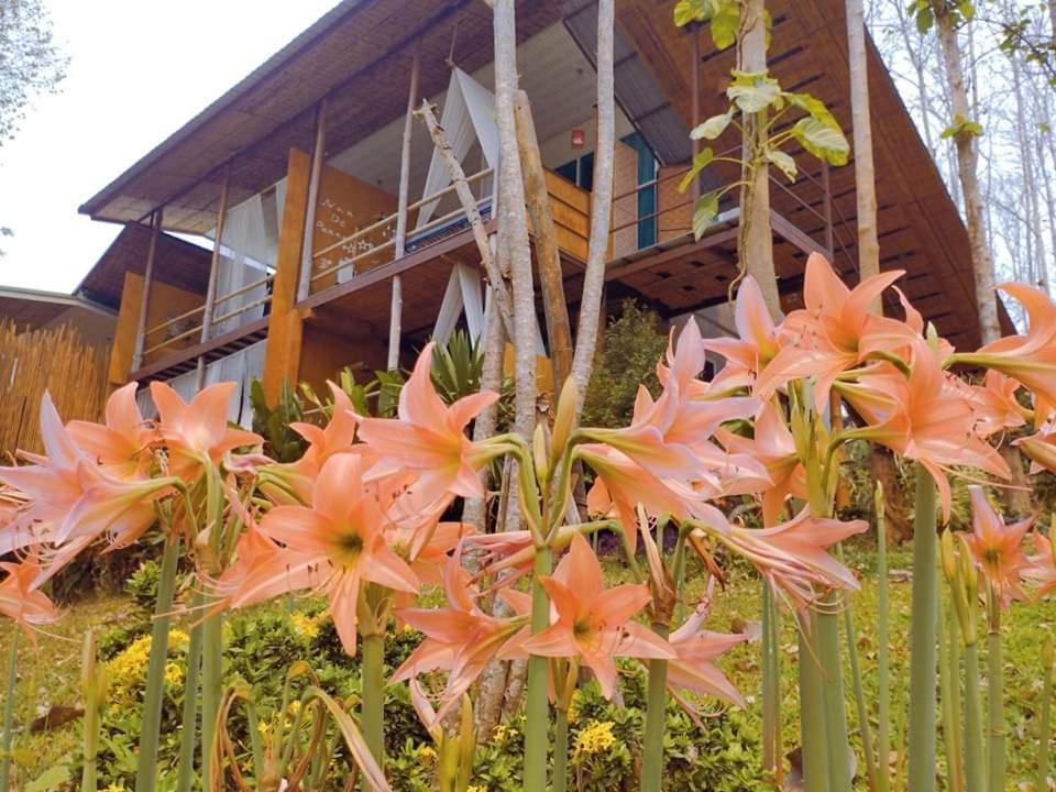 Nan De Panna Resort And Spa Exterior foto